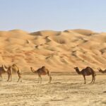 Viaggi in Oman